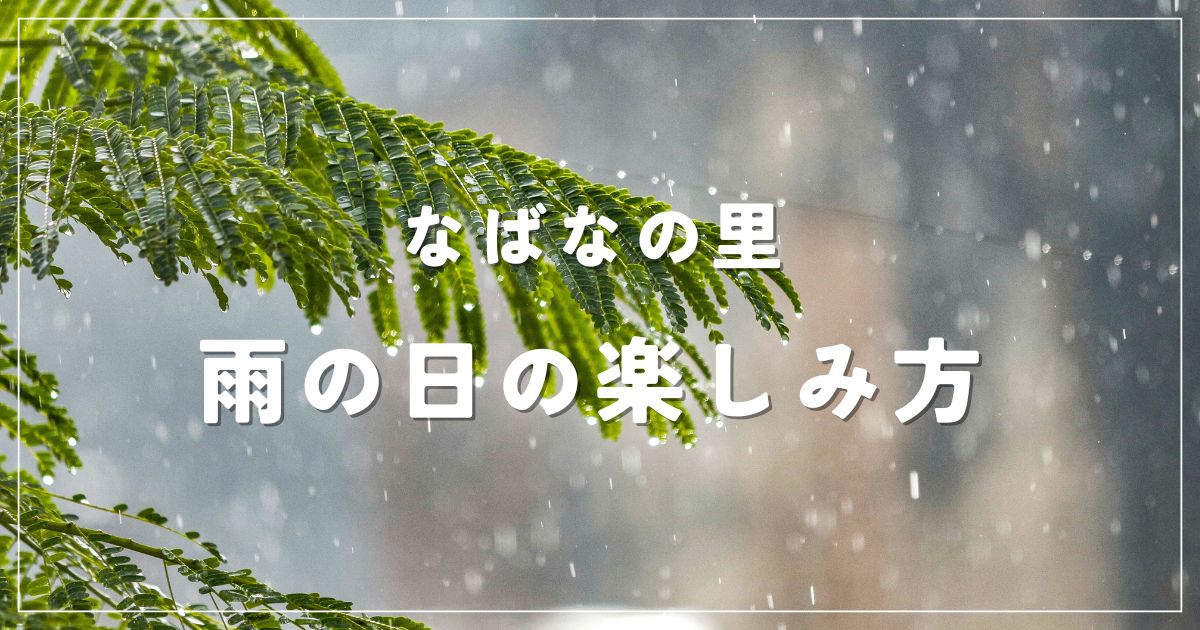 なばなの里は雨でも楽しめる！屋内スポットと幻想イルミ完全ガイド！
